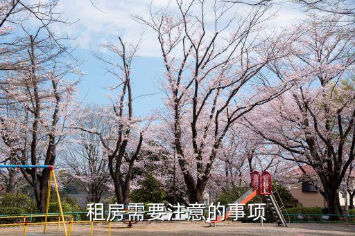 租房注意，租房 要注意什么