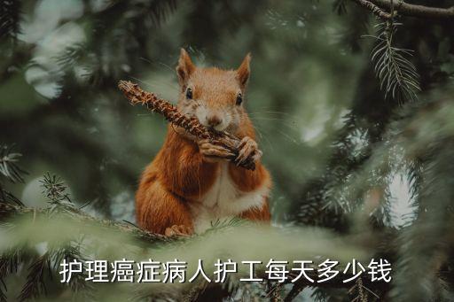 護理癌癥病人護工每天多少錢