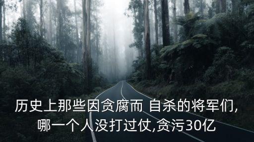 歷史上那些因貪腐而 自殺的將軍們,哪一個人沒打過仗,貪污30億