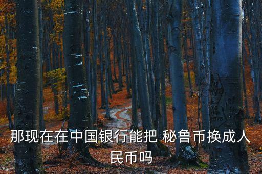 那現(xiàn)在在中國銀行能把 秘魯幣換成人民幣嗎