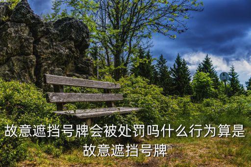 遮擋車牌，汽車遮擋號牌怎么處罰