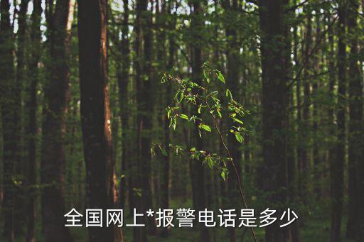 *電話是多少，全國網(wǎng)上*報警電話是多少