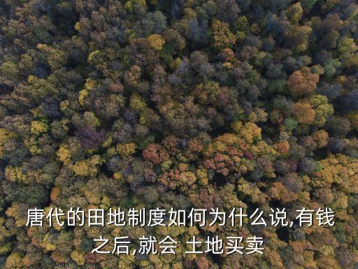 唐代土地法律特征有哪些,土地承包經(jīng)營權(quán)的法律特征