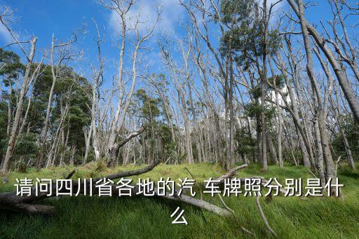 請問四川省各地的汽 車牌照分別是什么