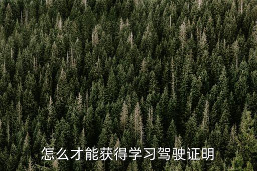 電子學習駕駛證明，怎么才能獲得學習駕駛證明