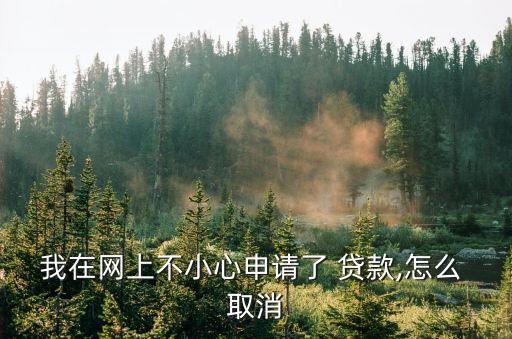 我在網(wǎng)上不小心申請了 貸款,怎么 取消