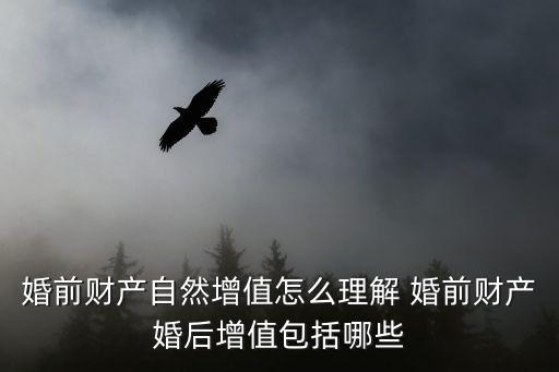 自然增值，婚姻法解釋三第五條的自然增值是指什么以個人財(cái)產(chǎn)購買的股票