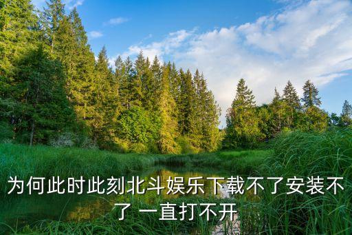 為何此時(shí)此刻北斗娛樂下載不了安裝不了 一直打不開