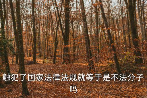 非法分子，觸犯了國(guó)家法律法規(guī)就等于是不法分子嗎