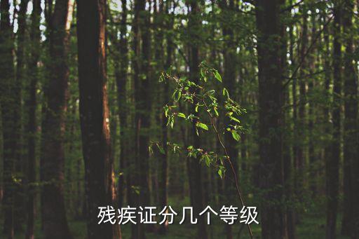 殘疾證分幾個等級