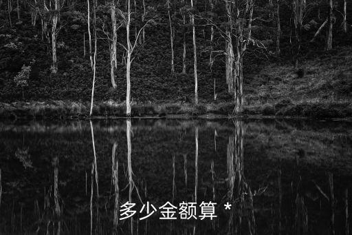 多少金額算 *