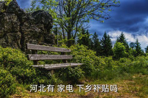 河北有 家電 下鄉(xiāng)補(bǔ)貼嗎
