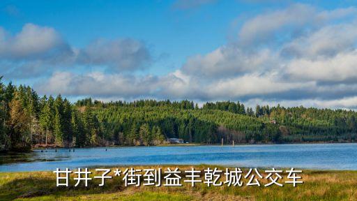 益豐乾城，益豐乾城房子現(xiàn)在怎么賣