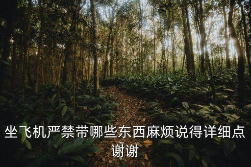 飛機上不讓帶啥，飛機上不能帶的東西有哪些
