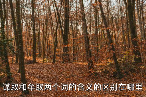 謀取，急謀取與牟取在意思和用法上有什么區(qū)別