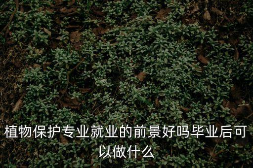 植保站