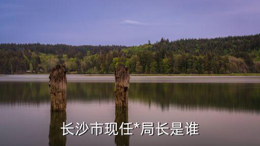 長沙市現(xiàn)任*局長是誰
