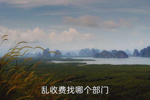 亂收費(fèi)，什么是亂收費(fèi)