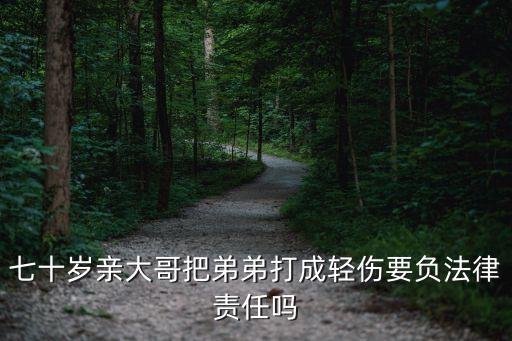 七十歲親大哥把弟弟打成輕傷要負(fù)法律責(zé)任嗎