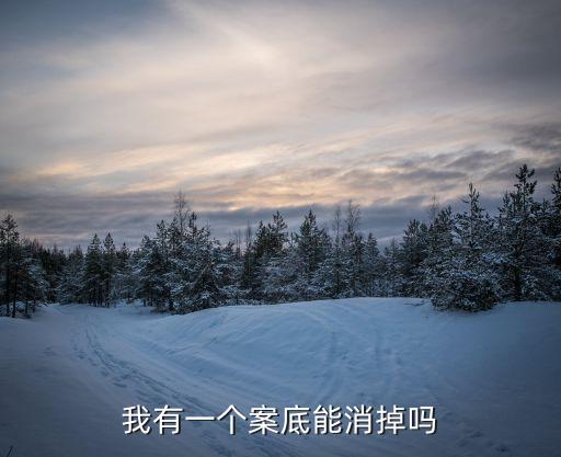 我有一個案底能消掉嗎