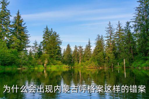 為什么會(huì)出現(xiàn)內(nèi)蒙古呼格案這樣的錯(cuò)案
