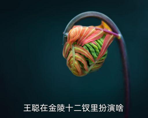 王聰，王聰在金陵十二釵里扮演啥