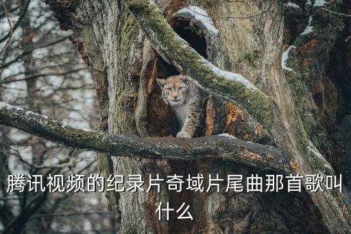 馮振華，騰訊視頻的紀(jì)錄片奇域片尾曲那首歌叫什么