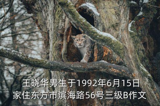 王曉華