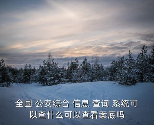 全國(guó) 公安綜合 信息 查詢 系統(tǒng)可以查什么可以查看案底嗎