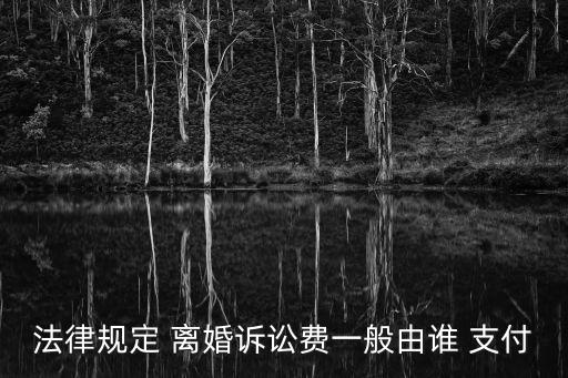 起訴離婚費(fèi)用由誰(shuí)支付