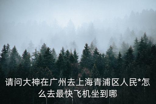 青浦區(qū)人民*，請(qǐng)問大神在廣州去上海青浦區(qū)人民*怎么去最快飛機(jī)坐到哪