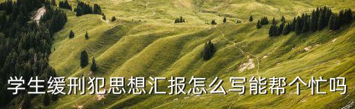 學(xué)生緩刑犯思想?yún)R報(bào)怎么寫能幫個忙嗎