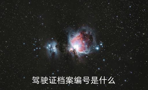 駕駛證檔案編號(hào)是什么