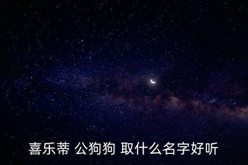 國(guó)際天天騷，喜樂(lè)蒂 公狗狗 取什么名字好聽(tīng)