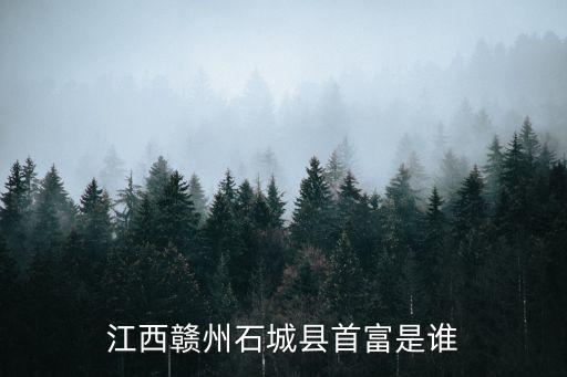 江西贛州石城縣首富是誰