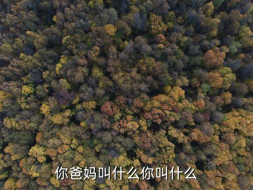 你爸媽叫什么你叫什么