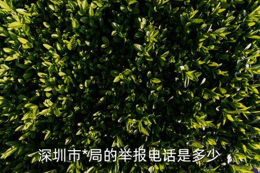 962110，上海市網(wǎng)絡(luò)*舉報(bào)電活