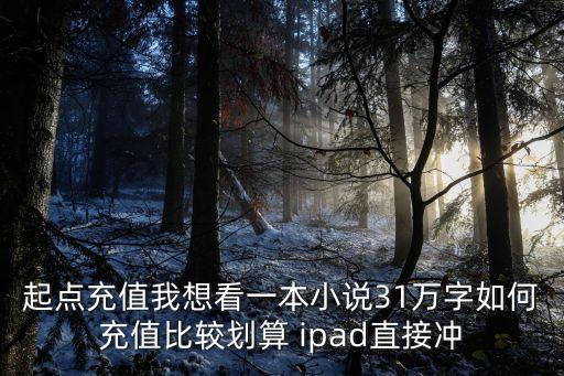 起點充值怎么劃算，起點 充值