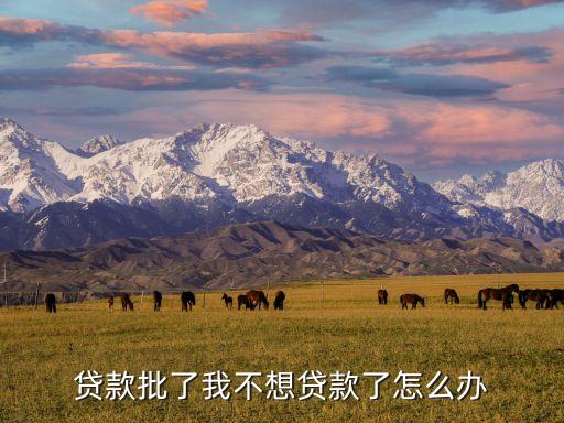 貸款批了我不想貸款了怎么辦