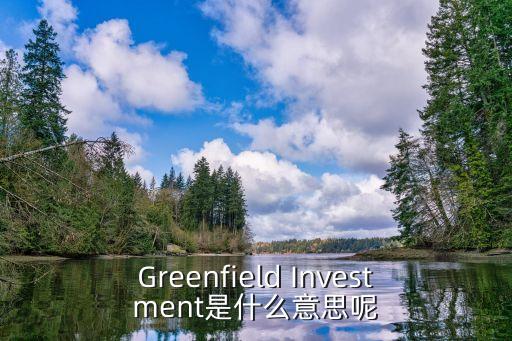 綠地投資，綠地投資的缺點