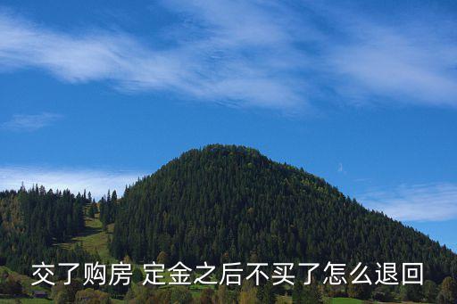 買(mǎi)房的定金可以退嗎怎么退,買(mǎi)房定金怎樣才能退回來(lái)