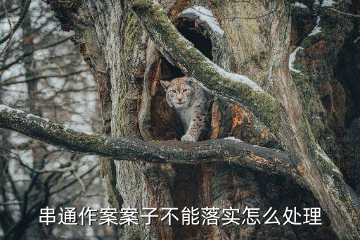 串案，什么是串案并案