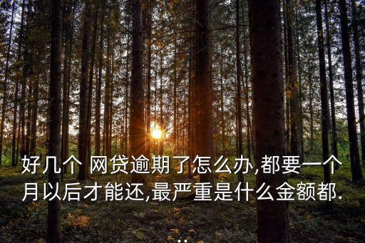 網(wǎng)貸沒(méi)給錢但是每個(gè)月要還款