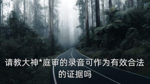 請教大神*庭審的錄音可作為有效合法的證據(jù)嗎