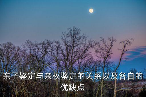親子鑒定與親權(quán)鑒定的關(guān)系以及各自的優(yōu)缺點(diǎn)