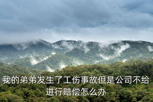 我的弟弟發(fā)生了工傷事故但是公司不給進(jìn)行賠償怎么辦