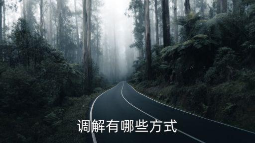 調解，調解有哪些方式