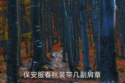 保安肩章，保安服春秋裝帶幾副肩章