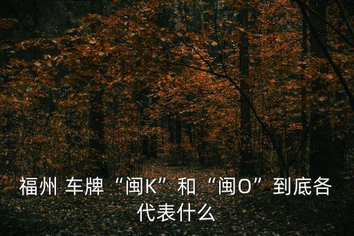 福州 車牌“閩K”和“閩O”到底各代表什么