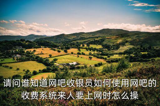 網(wǎng)吧收銀系統(tǒng)，網(wǎng)吧的收銀系統(tǒng)總共有哪幾種